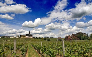 Ein Bild von einem Feld Wo im Hintergrund eine Kirche ist